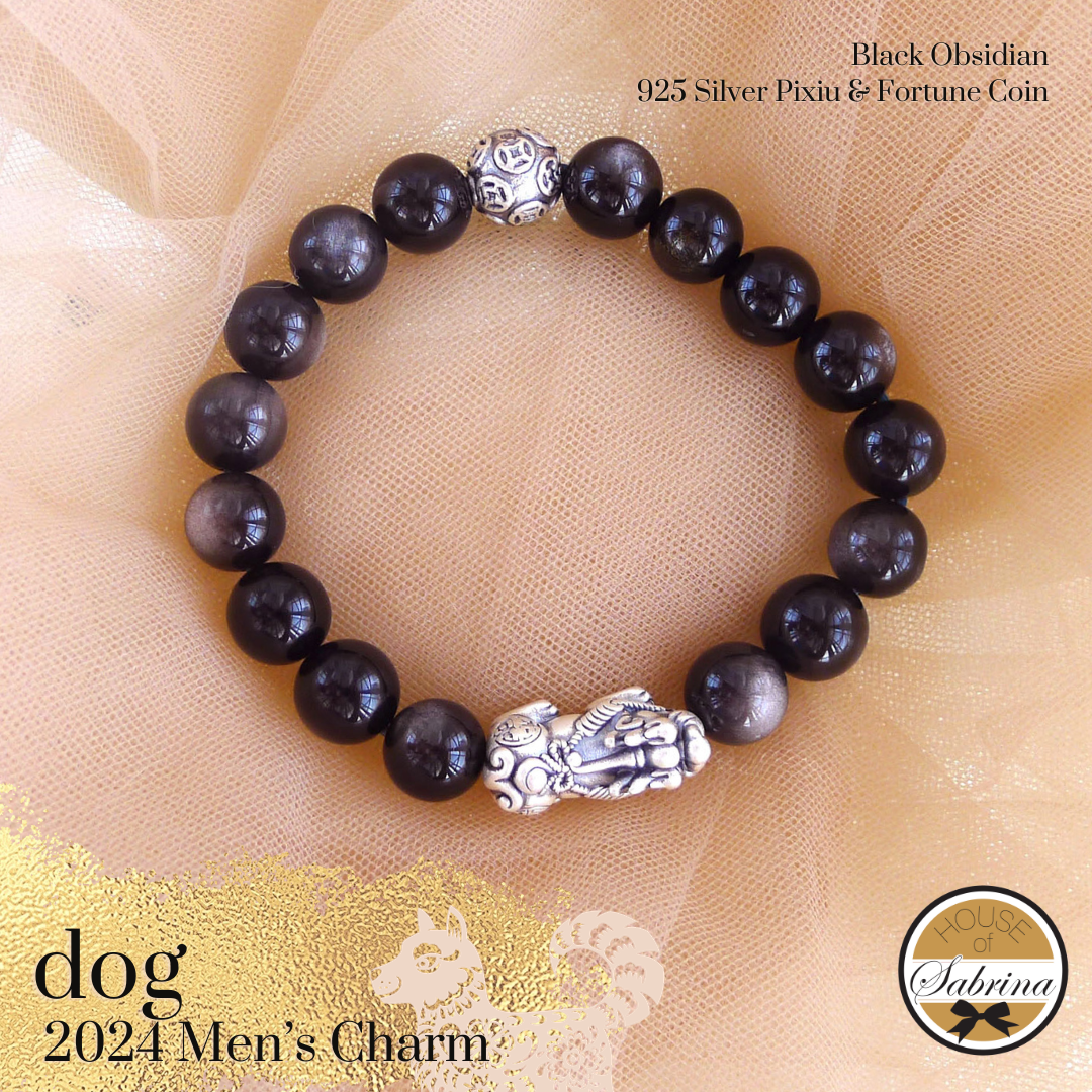 2024 DOG MEN'S ALL IN ONE GEMSTONE BRACELET